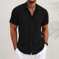 Alveraine Men's Casual Summer Polo Shirt – Black